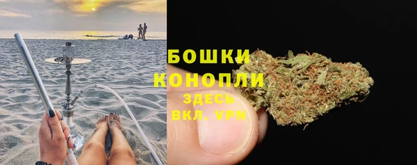 ALPHA PVP Ельня