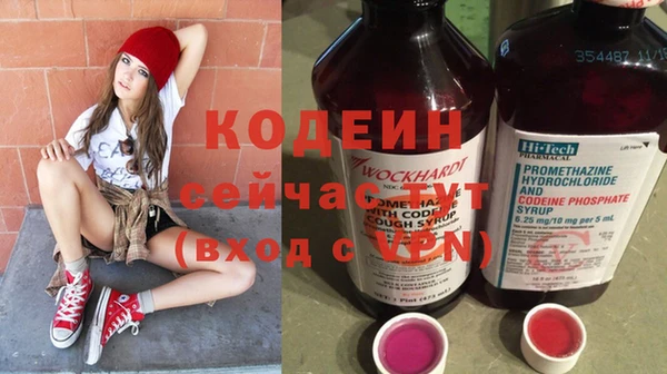 ALPHA PVP Ельня
