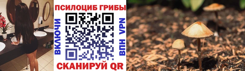 Купить где  Нюрба  Псилоцибиновые грибы MAGIC MUSHROOMS 
